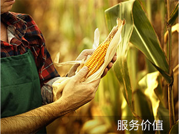 業(yè)務服務體系